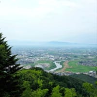 2025年下半期に入りました