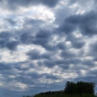 朝空