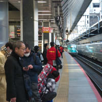 東京駅２１番線ホームを発着する東北新幹線やまびこ２０５号　仙台行き