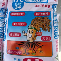 けい酸加里肥料の散布