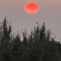 藍ケ江の夕日☀️ 3月26日(水)