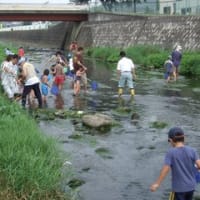 霞川水辺の生き物調査体験教室（報告）