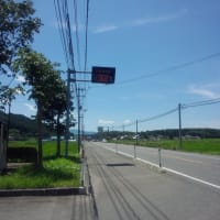 今日も