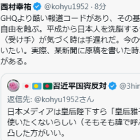 実際、某新聞に原稿を書いた時、悠仁親王を悠仁様に変更された事がある。