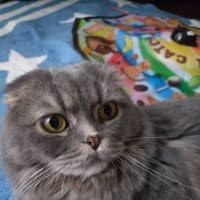 ちょっと不思議な話