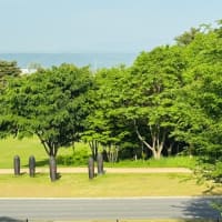 佐久に移住者が多い訳❣️
