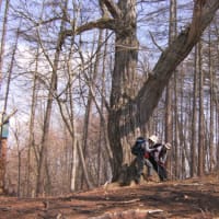 パワースポットの山