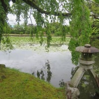 衆楽園（旧津山藩別邸庭園）のスイレン