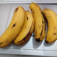 今朝の朝食はバナナ4本