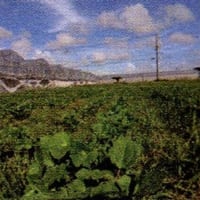 山本優作さんより ～いろいろゆうき