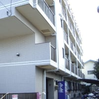川口　賃貸マンション　1ｋ　フリーレント