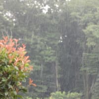 【石破首相】都議選で歴史的大惨敗！石破おろしのトリガーなるか？参院選も大惨敗？石破首相が数々の最低記録を更新！( ｀ー´)ノ