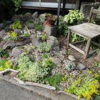 花の暮らしのお手伝い