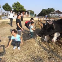 日帰り遠足