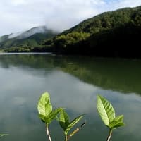 南の川から（気まぐれダイアリー）９月１１日