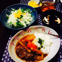 予告どおりカレー