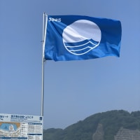 ブルーフラッグリーダー養成講座