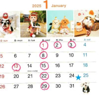 今年もありがとうございました。新年は1/4（土）から診療＆トリミングいたします。