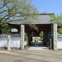 平塚八景を歩く(金目川と観音堂・森の前鳥神社)