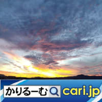 2025年3月分　鈴木の日記・日誌・備忘・広報・記事等