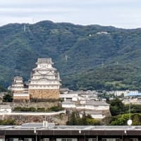 秋旅で姫路城に🏯
