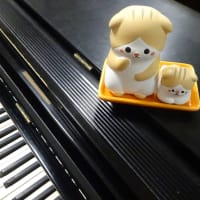 大垣市多目的交流イベントハウスで演奏