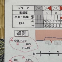 歯と口の健康週間＊6/4