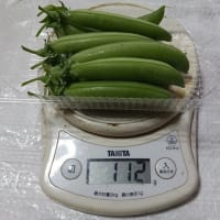 勇猛果敢？時には逃げなさい^^;