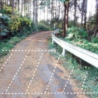 武衛原館と藤丸館 遠江　改変を受けながらも土塁と堀切が残された貴重な城館遺構