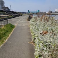 覚悟じゃないけど