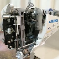 6月15日（日）キルトスペシャルくんとてもいい調子になりました！
