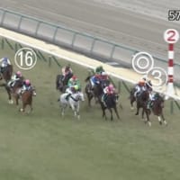 競馬Ｇ３　シルクロードステークス　根岸ステークスを振り返る　　馬券の結果