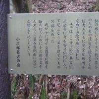 「小次郎」の墓