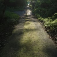 ネタを求めて、うろうろドライブ、、、