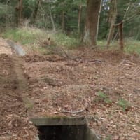 馬事公苑コース整備作業 2025.03.15