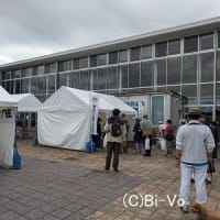 2024年長久手福祉まつり