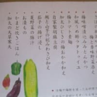 連れて行ってもらった　四季の郷公園　とても良かったです。