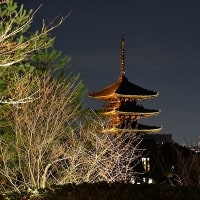 京都の夜景 高台寺から