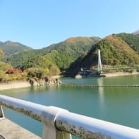 兵庫の紅葉