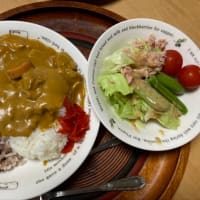 カレーのおせったい