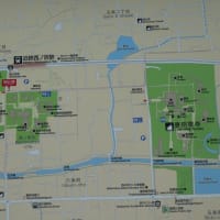 20241008奈良薬師寺と唐招提寺