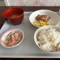 本日の定食！
