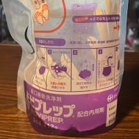 大腸カメラ