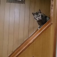 あたりまえな話だけど