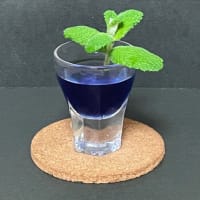 アクアの静け酒