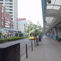 鳥取駅周辺散策