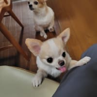 おニューのパソコンはいいね！