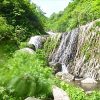 シャトゥーンヒグマの森 増田俊也 著 Minakayak シャトゥーンヒグマの森 増田俊也 著 Minakayak
