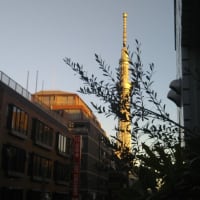 大切な私の家族(=^・・^=)=^_^=