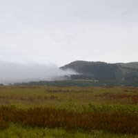 明日ガイドの八島湿原では朝霧躍るか。